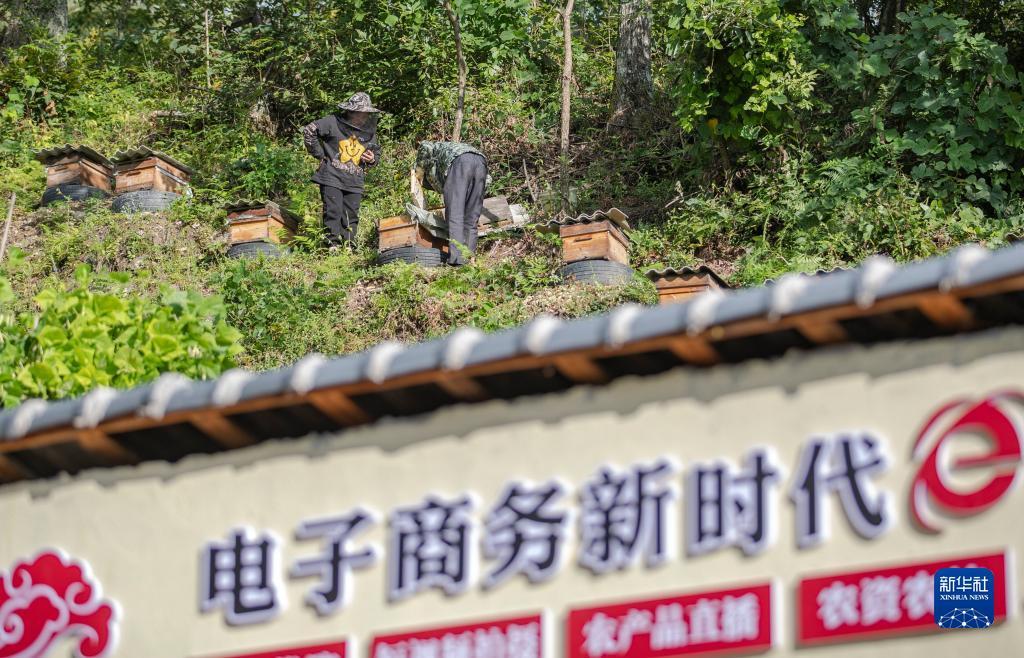 正宗湖南棋牌